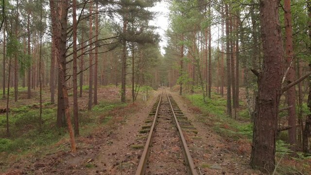 railway in the forest