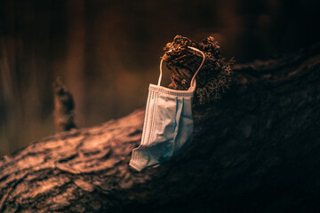A mask discarded in the forest hanging from a tree branch during COVID-19. The purity of the forest. Environmental pollution. Landscape mode