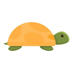Safari turtle icon. Cartoon of Safari turtle vector icon for web design isolated on white background