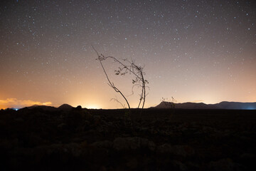 Paisaje con bonitos colores