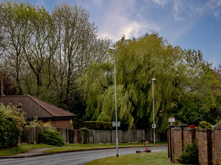 Obraz premium MORNING TIME