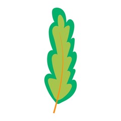 Simple doodle of a plant. Leaf from a tree. Vector illustration isolated on white background. hand-drawn.