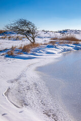 Snowy and ice winter landscape at the Amsterdamse Waterleidingduinen