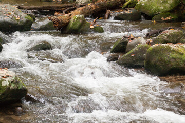 Fototapeta premium Stream cascading by rocks