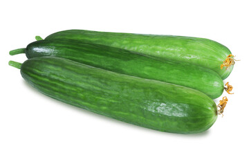 Three cucumbers on an isolated white background. Fresh cucumber