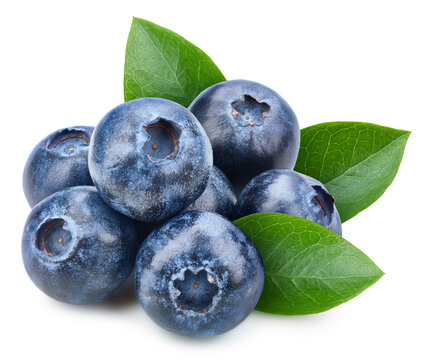 Blueberry berry with blueberry leaf isolated on white background. Blueberry clipping path.