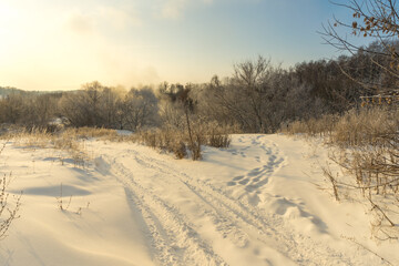 Obraz premium landscape with snow