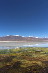 Lake known as Laguna Blanca, situated at The Eduardo Avaroa Andean Fauna National Reserve, Bolívia. The mountain behind is reflected in the water. Landscape at Potosí, in the Bolivian altiplano. 