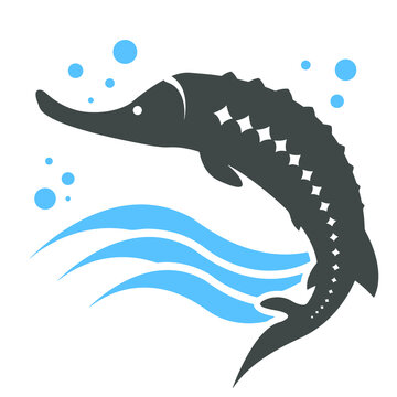 gray sturgeon swimming in blue water clip art preview