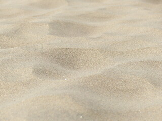 Fototapeta na wymiar Close up with selective focus of golden sand on the dunes of Maspalomas, Gran Canaria. 