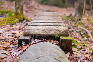 footbridge in forest
