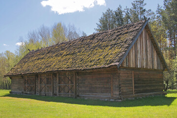 Old wooden barn, thatched. Overgrown with moss. He is standing on the green grass. Old rural construction. A village in Poland in Podlasie