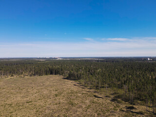 View from the height of the field and coniferous forest. Panoramic beautiful photo from a drone. Picturesque photo wallpaper, screensaver, cover, background.