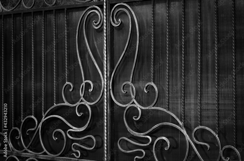 Wall mural Decorative metal fence with wrought iron elements in black and white