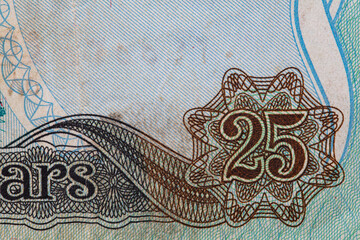 Fragment of 25  Iraqi dinar banknote issued in 1986