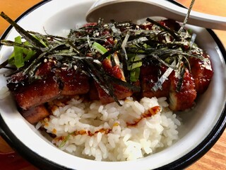 Unagi, eel with teriyaki sauce served in rice bowl