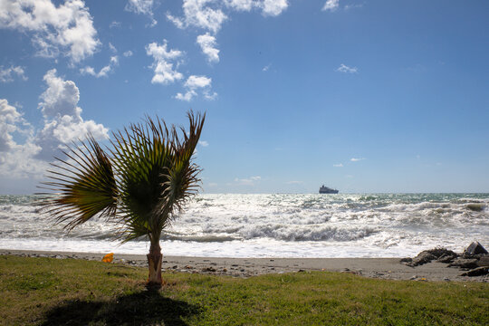 Mare turco - Turchia