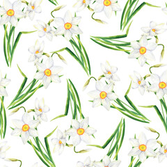 Watercolor Narcissus seamless pattern. Hand painted daffodil flowers isolated on white background. Spring floral illistration, elegant feminine design for textile, fabrics, wrapping, scrapbook, print