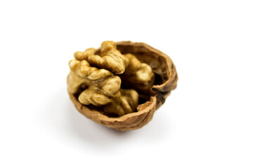 Walnut kernel in half shell isolated on white background. Fruit walnut isolated on a white background.