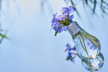 Electric lamp bulb with periwinkle flowers. Abstract image symbolizing technology and nature