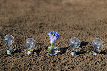 Five light bulbs on sandy ground. The middle light bulb is transformed into a vase of flowers
