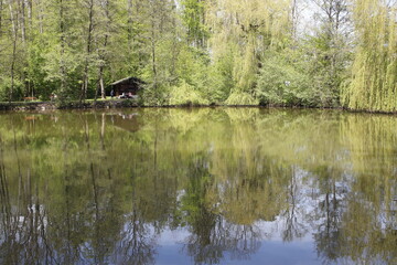 Grillhütte an einem Waldsee