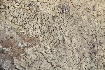 Clay cracked earth texture. Cracked clay natural background. Texture of the dried earth with clay and sand