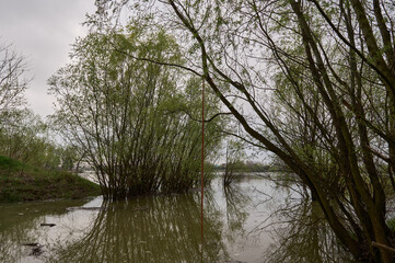 close-up of garbage and waste on the river bank among the trees
