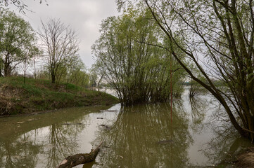 waste and garbage on the river bank in the water