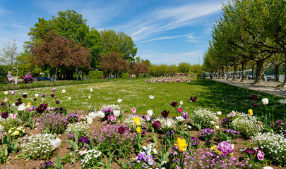 Uferpromenade Worms am Rhein