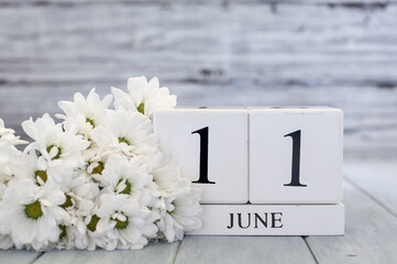 June 11th Calendar Blocks with White Daisies