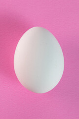 Egg on the pink background