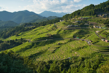 三重県　展望台からの丸山千枚田の秋景色