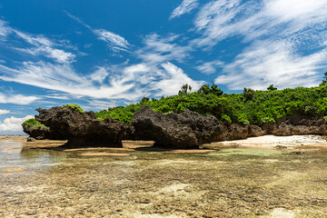 Obraz premium Typical low tide scene taken from the sea to the beach. Incredible rock formation advancing into the sea full of vegetation over it, blue sky with some white clouds in the background.