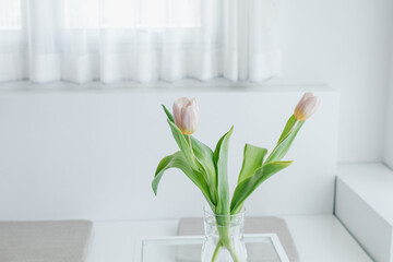 Pink tulips in a vase. Bouquet of flowers in the morning sun beams. Cozy home design and minimalism. Modern interior of living room or bedroom, vertical, close up, free space
