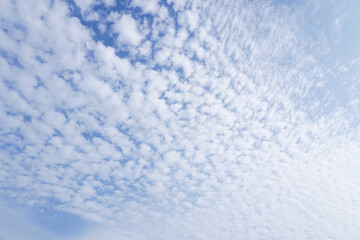 空（うろこ雲、10月、日本）/Autumn sky with cirrocumulus in Japan