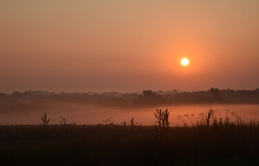 Foggy summer morning sunrise