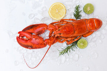 Fresh lobster food on white plate background, Red lobster dinner seafood with herb spices lemon rosemary on ice in the restaurant gourmet food healthy boiled lobster cooked