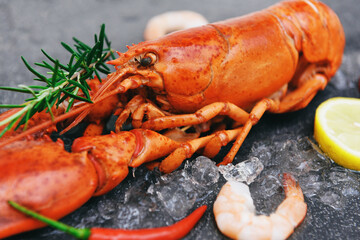 Fresh lobster food on white plate background, Red lobster dinner seafood with herb spices lemon rosemary on ice in the restaurant gourmet food healthy boiled lobster cooked
