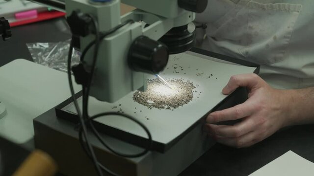 This video shows the hands of a paleontologist sifting through sediment for fossils with tools and a microscope in a laboratory.