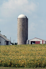Silo