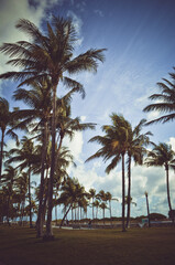 Fototapeta na wymiar Summer in Miami Beach