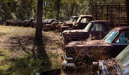 junked vehicles