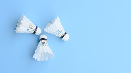 Shuttlecock (birdie) isolated on blue court background with copy space