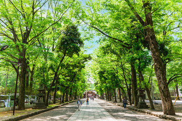 大國魂神社　参道