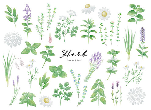 971 960 件の最適な 手書きイラスト 画像 ストック写真 ベクター Adobe Stock