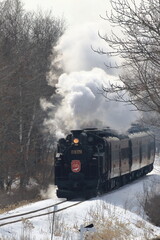 SL冬の湿原号（北海道）