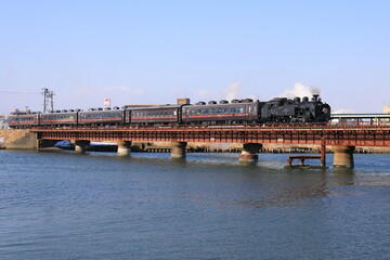 Fototapeta premium SL冬の湿原号（北海道）