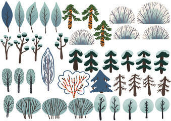 coniferous and deciduous trees of the park