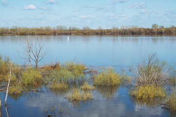 Spring flood of the Volga River and flooded trees, beautiful natural landscape.